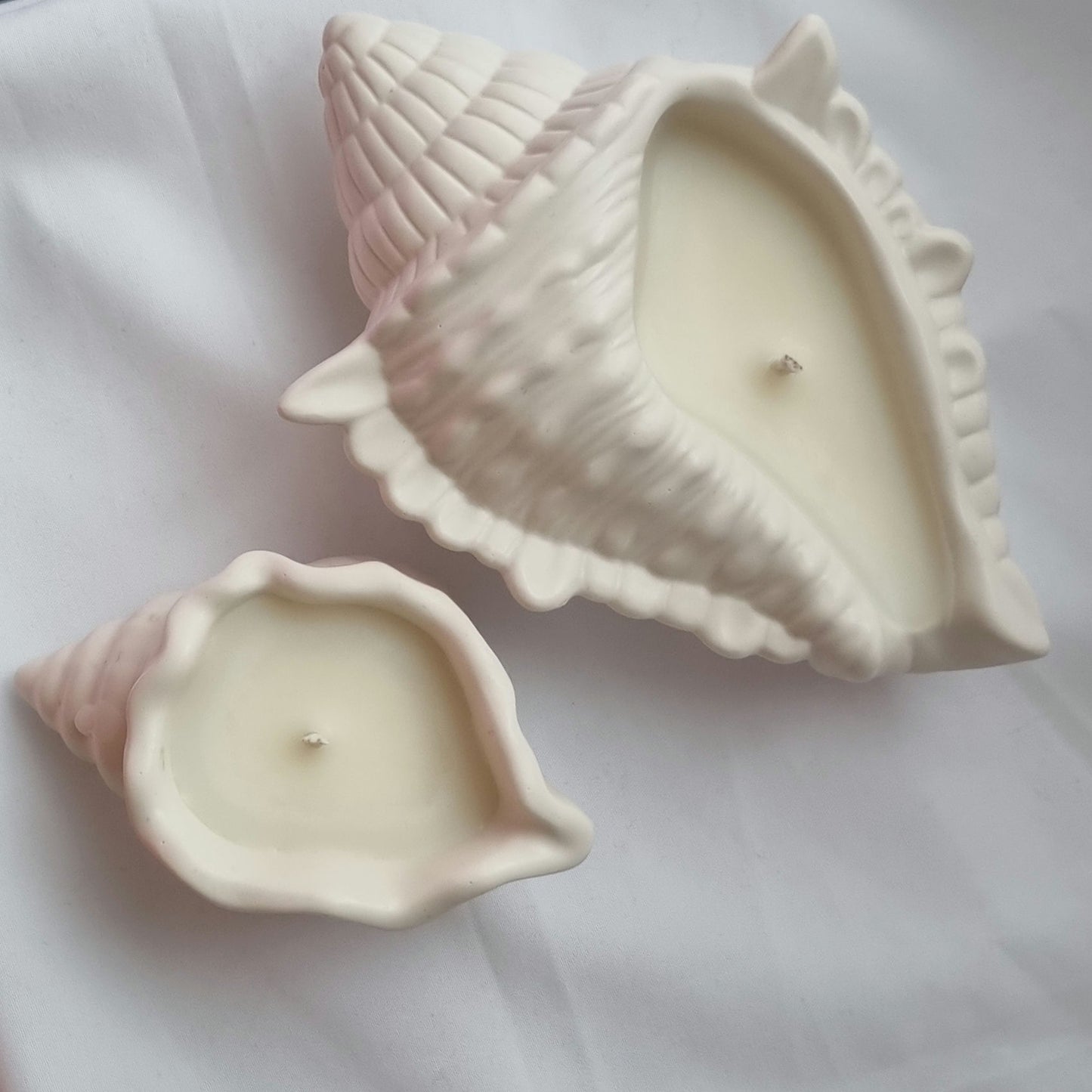 Shell Candle Set
