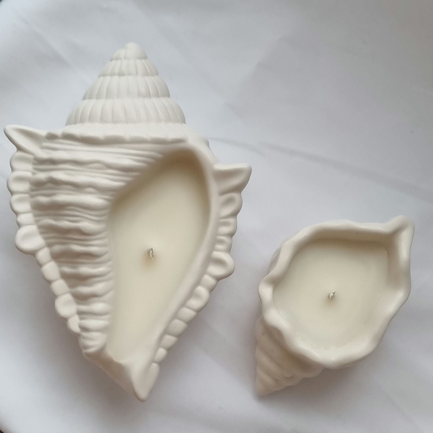 Shell Candle Set