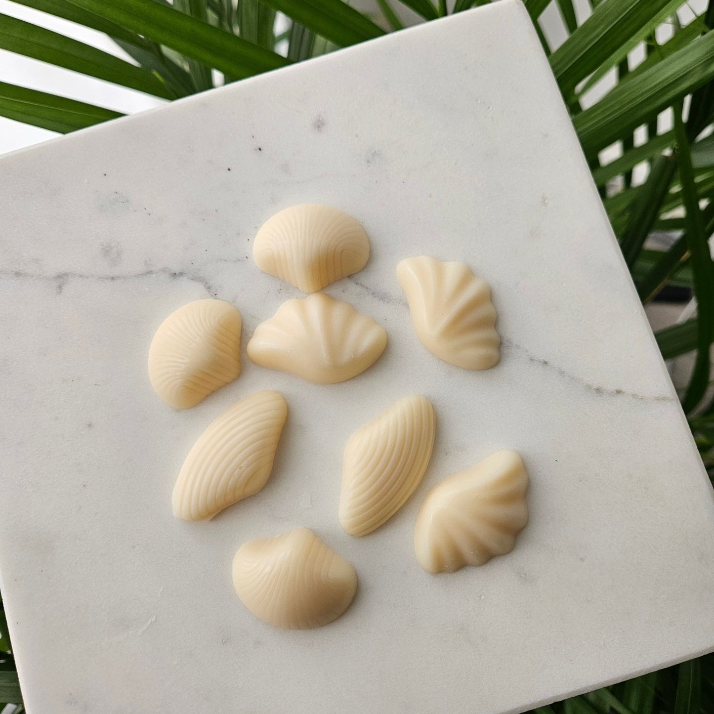 Fondants Parfumés Artisanaux – Eclats d'Océan 60g - Bel Jewelry and CO