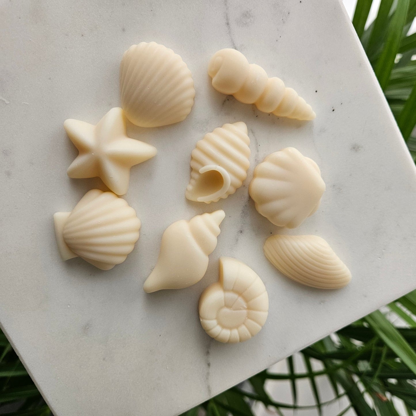 Fondants Parfumés Artisanaux – Trésors des Mers 60g - Bel Jewelry and CO