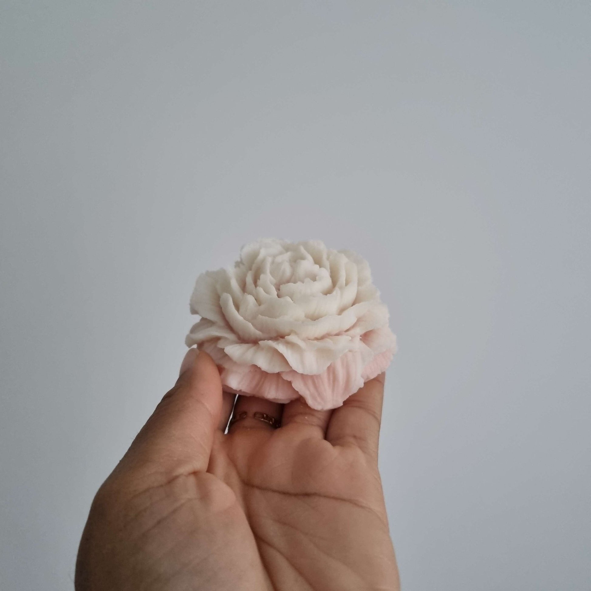 Bougie Peony Blanc et rose sans mèche - Bel Jewelry and CO
