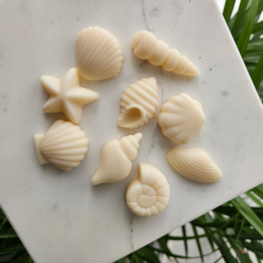 Fondants Parfumés Artisanaux – Trésors des Mers 60g - Bel Jewelry and CO